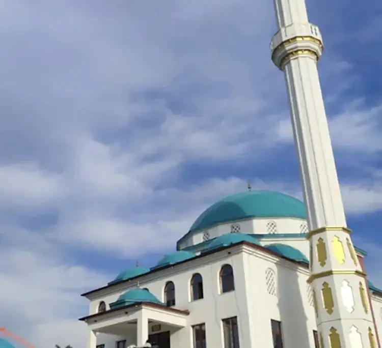 aydin_bozdogan_kubbe_kaplama